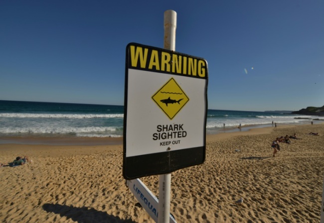 There have been six shark attacks in the last two months off Australia's beaches (AFP)