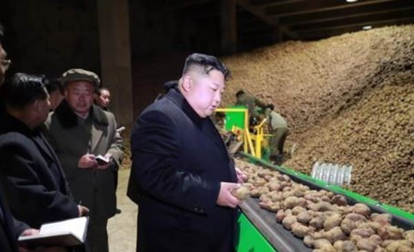 A file photo released by the Korean Central News Agency on Oct. 30, 2018, shows North Korean leader Kim Jong-un inspecting a potato processing plant in Yanggang Province. (For Use Only in the Republic of Korea. No Redistribution) (Yonhap)