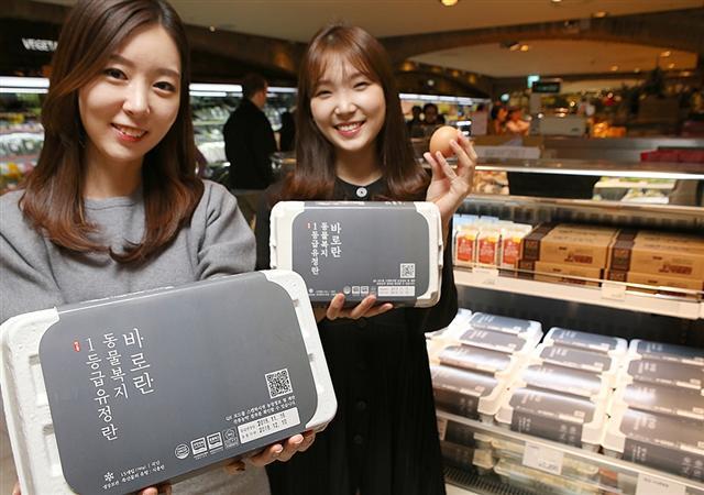 현대백화점 압구정본점 식품관에서 모델이 국내 첫 ‘동물복지 1등급 유정란’인 ‘바로란’을 선보이고 있다.  [제공=현대백화점]
