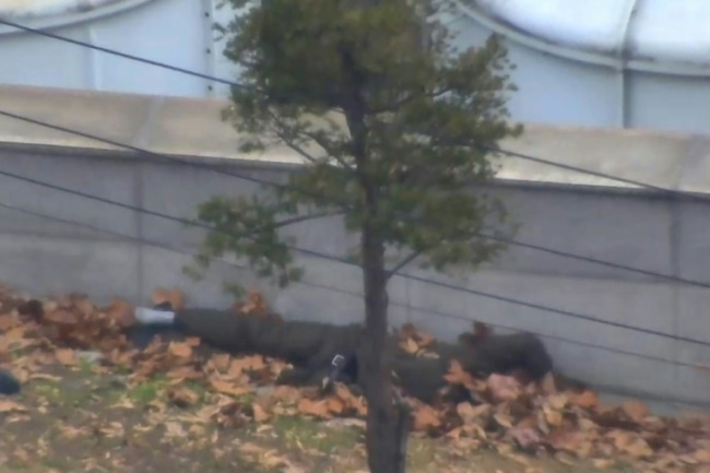 Oh lay bleeding in a pile of leaves after he made it over the border, and was pulled to safety by South Korean soldiers (AFP)