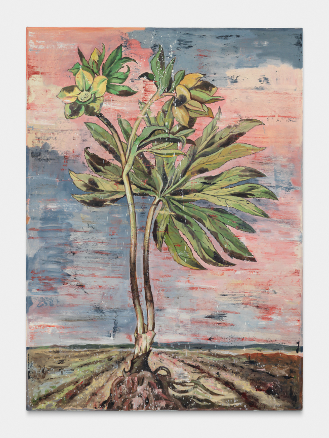 니키 노주미, Untitled III-From the Environmental Series,2018,178X127cm.[사진제공=바라캇 컨템포러리]