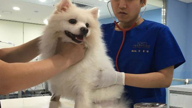 (Yonhap)