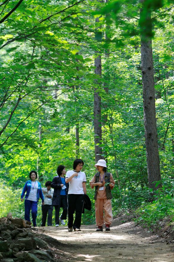 (Korea Forest Service)