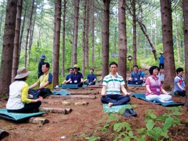 (Korea Forest Service)