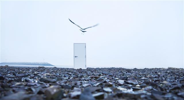 오경성, Fly, 2017, Archival pigment Print, 49.5×90 cm, Ed. of 5
[제공=갤러리 엠]