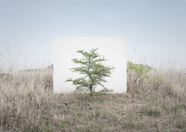이명호, Tree... 9, 2017.[제공=갤러리현대]