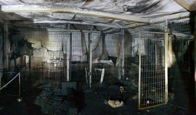 Fire at shelter in Anseong, Gyeonggi Province killed some 260 cats and dogs (Yonhap)