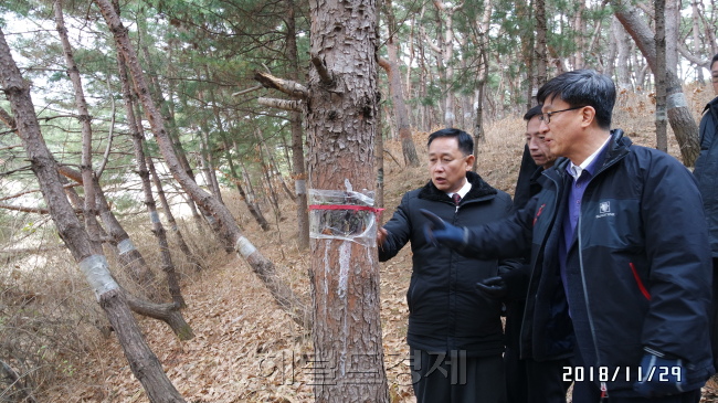 [사진=헤럴드경제DB]