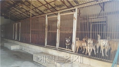 [사진=헤럴드경제DB]