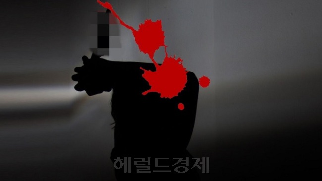 [헤럴드경제 DB]