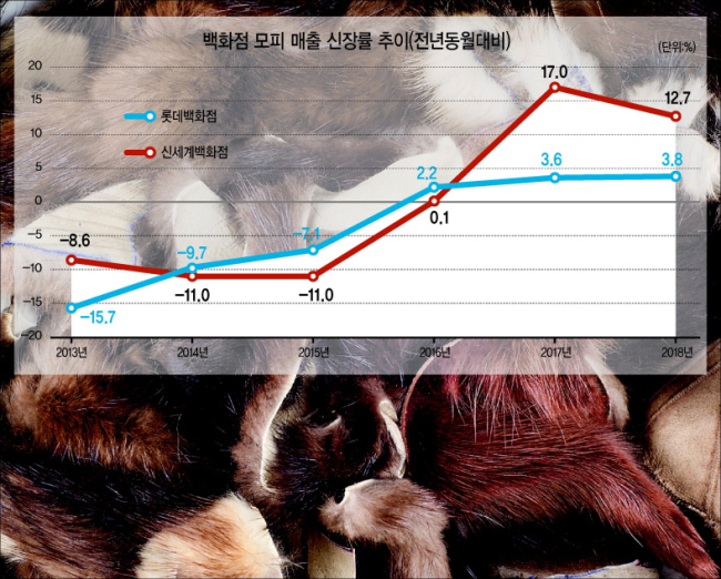 전세계적으로 ‘퍼 프리’(Fur-Freeㆍ모피를 사용하지 않음)를 외치는 물결이 거세지고 있다. 지난해 세계 4대 패션쇼로 꼽히는 런던패션위크가 처음으로 모피 퇴출을 공식화했고, 명품 브랜드 조르지오 아르마니ㆍ베르사체ㆍ구찌 등에 이어 샤넬과 버버리가 모피 사용 중단을 선언했다. 동물 복지에 대한 인식이 확산되면서 모피 산업은 내리막길을 걷고 있지만 국내에서는 역설적으로 모피 소비가 늘어나고 있다. 국제 원피(모피의 원재료) 가격 하락으로 모피 상품의 가격이 저렴해지자 중장년층은 물론 젊은 층도 구매에 나선 것이다.
21일 롯데백화점에 따르면 모피 매출은 2013년 -15.7%, 2014년 -9.7%, 2015년 -7.1% 감소했으나 2016년 2.2%를 기록해 증가세로 돌아선 이후 2017년 3.6%, 2018년 3.8% 신장했다. 신세계백화점의 모피 매출도 2013년 -8.6%, 2014년 -11%, 2015년 -11% 역신장했다. 하지만 2016년(0.1%)을 기점으로 2017년 17%, 2018년 12.7% 증가했다.
이처럼 고가 상품인 모피는 경기침체가 장기화하면서 2015년까지 꾸준히 감소세를 보여왔다. 그러나 2013년부터 국제 원피 가격이 해마다 10~15%가량 떨어지면서 소비자들은 상대적으로 저렴한 모피 구매에 지갑을 열기 시작했다. 실제로 과거 500만원대이던 상품들은 현재 200~300만원대에서 판매되고 있다. 신세계백화점 관계자는 “2016년 말 모피 상품의 가격이 하향 조정되자 젊은 층도 ‘살만 하다’ 싶어 모피 구매에 뛰어들기 시작했다”고 설명했다.
무엇보다 모피 브랜드의 색상과 디자인이 다양해지면서 2030대의 수요가 늘었다. 검은색, 회색 등 어두운 계열의 색상에 한정됐던 모피는 최근 붉은색, 파란색 등 원색으로 출시되고 있다. 아울러 디자인이 코트처럼 입는 스타일이 아닌 베스트, 머플러, 숄, 키링 등 액세서리 형태로 다양해지면서 2030세대의 구매가 늘었다는 것이 백화점 측의 설명이다. 롯데백화점 관계자는 “유색 모피 물량은 전년 대비 평균 50% 증가했으며, 영(Young) 모피 디자인 수는 지난해와 비교해 평균 120% 늘었다”고 했다.
문제는 이 같은 모피 소비 증가 추세가 전세계적인 동물 보호 흐름과 역행한다는 것이다. 영국이 모피를 위한 동물 사육을 금지한 이후 오스트리아, 크로아티아, 네덜란드 등 유럽 각국이 모피 농장이나 생산을 금지하기 시작했다. 한때 세계 최대 여우 모피 생산국으로 불렸던 노르웨이도 2025년까지 여우와 밍크 농장을 순차적으로 폐쇄하는 데 합의했다. 유럽 모피 농장들이 문을 닫으면서 중국이 그 자리를 대체하기 시작했다.
최근 몇년 사이 중국의 모피농장들은 대규모 기업화되고 있다. 중국 모피 농장들은 여전히 윤기 있는 모피를 얻기 위해 토끼, 라쿤 등 살아있는 동물의 살가죽을 최대한 천천히 떼어내는 비윤리적인 방식으로 모피를 생산하고 있다. 이형주 동물복지문제연구소 어웨어 대표는 “과거 모피는 주로 북유럽 국가에서 생산됐으나 이제는 전세계 모피 물량의 80% 가량을 중국이 책임지고 있다”며 “중국은 모피 생산의 상업적 가치만 따질 뿐 동물 복지는 고려의 대상이 아니다”라고 했다.
중국은 값싼 인건비를 바탕으로 저가 모피를 양산해 세계 각국에 공급하고 있는 것이다. 그 중 한국은 모피시장에서는 없어서는 안될 주요 고객이다. 관세청에 따르면 2001년 1억5000달러 수준이던 모피 수입은 2017년 2억7900달러로 껑충 뛰었다. 이 대표는 “국내에서도 윤리 소비와 동물 복지에 대한 인식이 확산되고 있지만 아직도 모피를 원하는 수요가 많다”며 “과거에는 모피가 중장년층의 ‘부의 상징’처럼 여겨졌다면, 최근에는 패딩 모자ㆍ머플러ㆍ가방 등 모피부자재를 활용한 상품이 쏟아져나오면서 오히려 모피가 대중화되고 있다”고 했다.  박로명 기자/dodo@heraldcorp.com