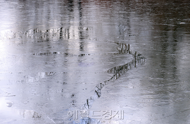 [사진=이상섭 기자/babtong@heraldcorp.com]