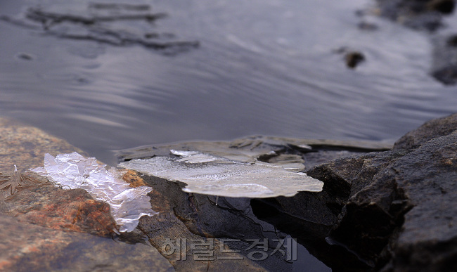 [사진=이상섭 기자/babtong@heraldcorp.com]