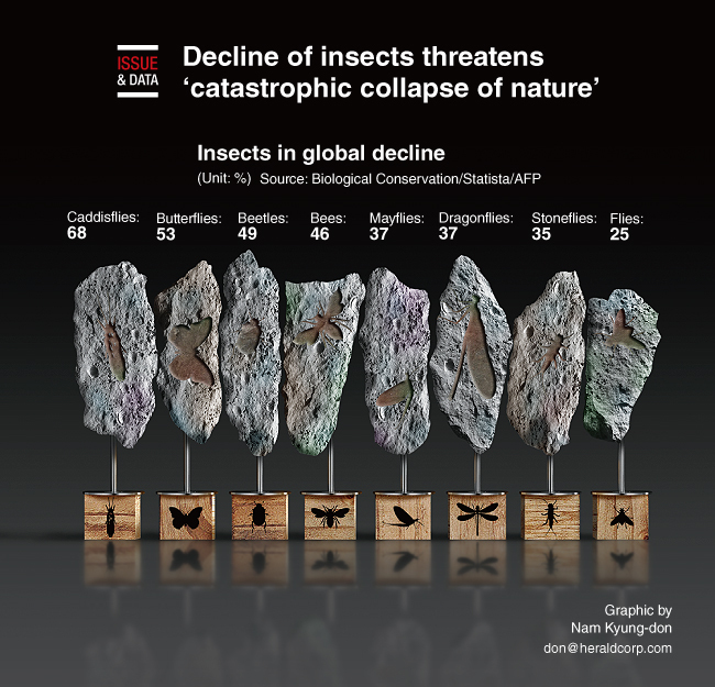 [Graphic News] Decline of insects threatens ‘catastrophic collapse of ...