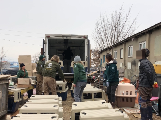 A dog farm owner watches rescued dogs being moved to a truck that will bring them to Incheon International Airport. (Park Ju-young / The Korea Herald)