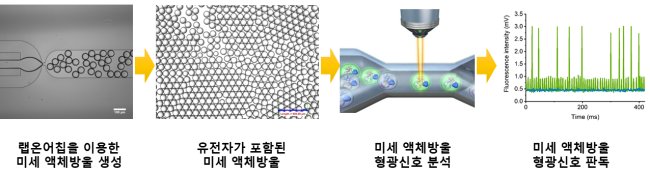 랩온어칩을 이용한 미세액체방울 생성 및 형광신호 분석 개념도.[제공=나노종합기술원]