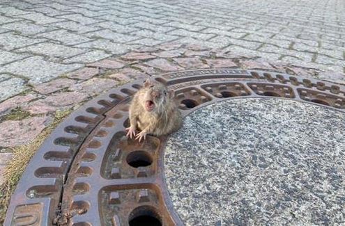 (연합뉴스)