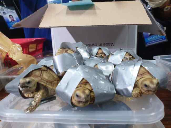 (Bureau of Customs NAIA/Facebook)