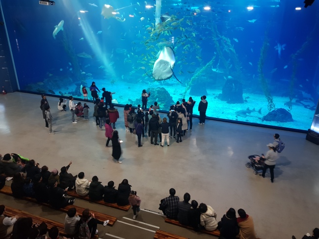 Hanwha Aqua Planet Jeju (Seogwipo Tourism Council)