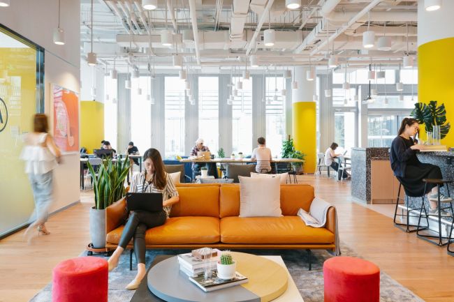 Entrepreneurs and members of startups work at one of WeWork's offices. (WeWork)