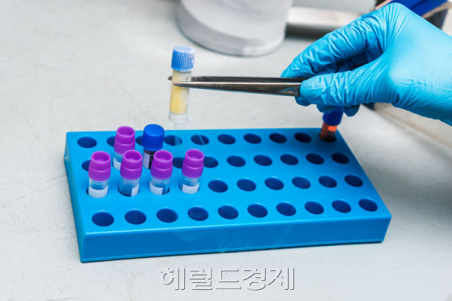 [사진설명=대표적인 혈액암의 하나인 백혈병은 유전자 돌연변이가 원인인 경우가 많아 유전자 검사를 통해 예측이 가능하다. 헤럴드DB]