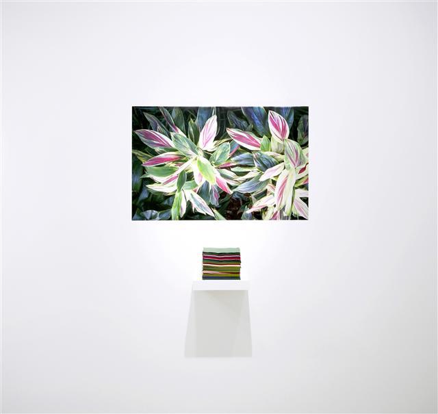 장유정, Natural Nature 3 archival print, napkins, 65×100, 23×23×27cm, 2018.  [스페이스K 제공]