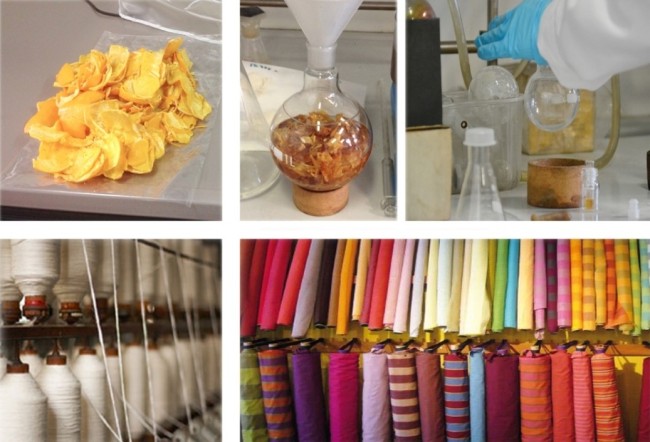 오렌지 섬유 만드는 과정 [오렌지파이버(Orangefiber) 제공]