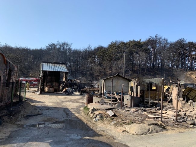 A mountainside village in Toseong-myeon, about 5.6 km away from where Korea‘s worst wildfire started in Goseong, Gangwon Province, lies in ruins around 16 hours after the town was evacuated. (Kim Arin/The Korea Herald)