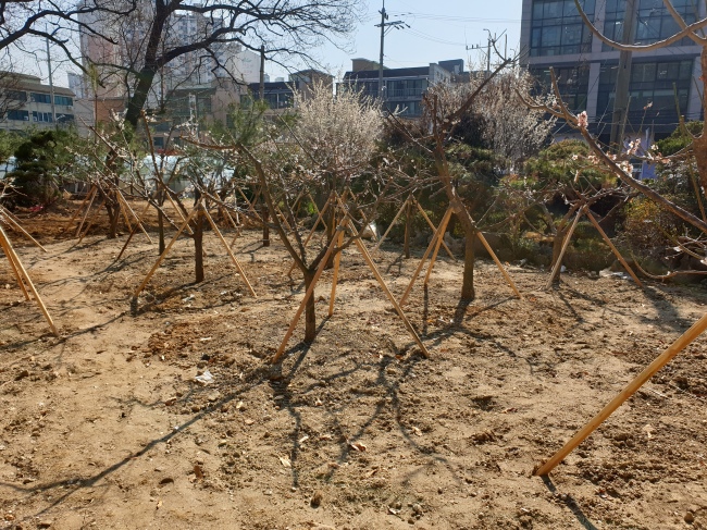 [수원시 제공]
[수원시 제공]