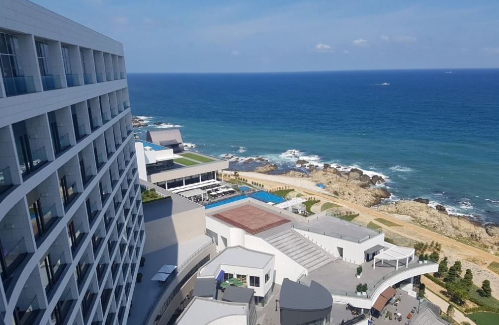 (연합뉴스)