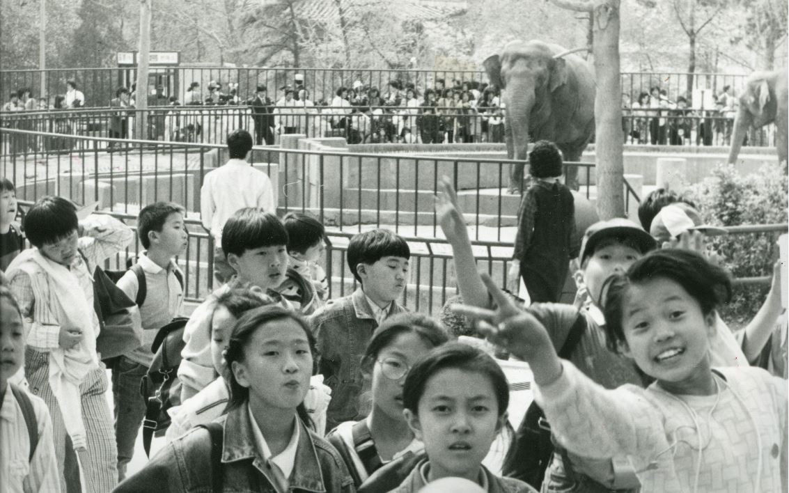 Back in the day: Sweet memories of picnics 