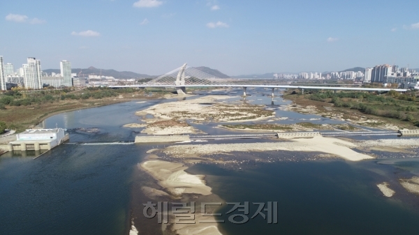 세종보가 상시 개방된후 강 생태계가 빠르게 회복되고 있다. 상시개방 중인 세종보 전경 [헤럴드DB]