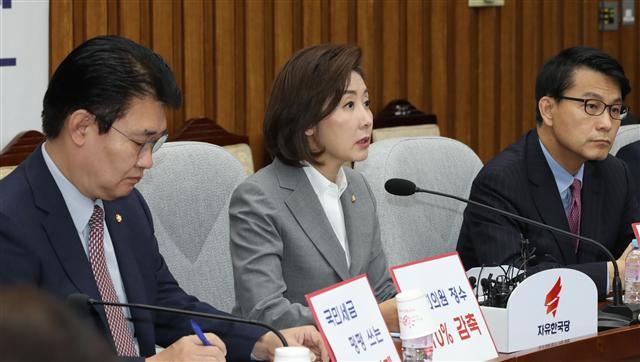 나경원 자유한국당 원내대표가 10일 오전 국회에서 열린 원내대책 및 북핵외교안보특위 연석회의에서 발언하고 있다.  [연합]