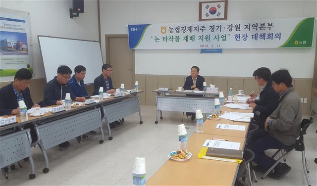 김원석 농협 농업경제대표이사가 경기, 강원지역 현장 대책회의를 주재하고 있다.  [농협 제공]