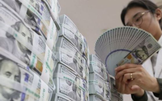A commercial bank employee in Seoul counts batches of $100 bills. (Yonhap)