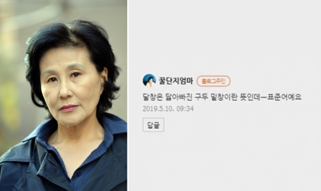 전여옥 “달창은 표준어…닳아빠진 구두 밑창이란 뜻”