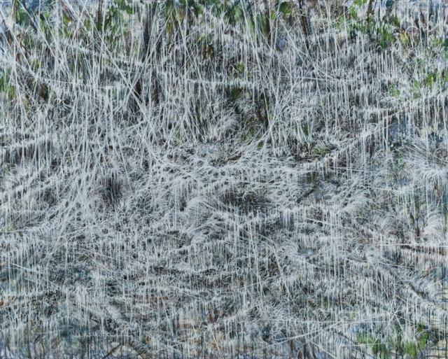 한진, 아득한 울림 #3, oil on canvas, 130.5×162cm, 2016-2017
[스페이스K]