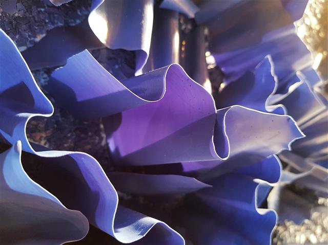 김지아나, Blue inside blue 1811, Detail [가모갤러리 제공]