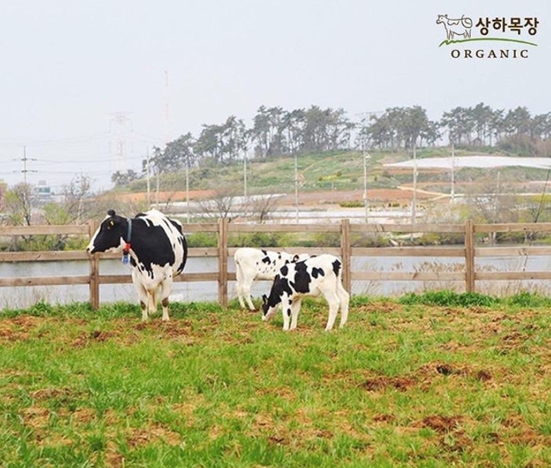 상하목장 [상하목장 인스타그램 캡처]