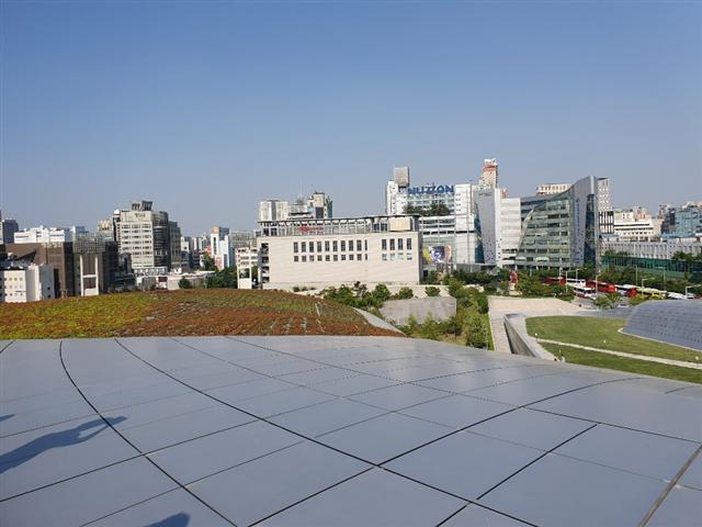 DDP 지붕. 세덤 정원과 잔디언덕, 멀리 동대문 상권이 보인다.