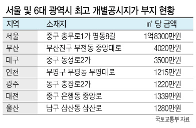 16년째 전국 지가 1위를 지키고 있는 서울 명동의 네이처리퍼블릭 건물.  [헤럴드경제DB]