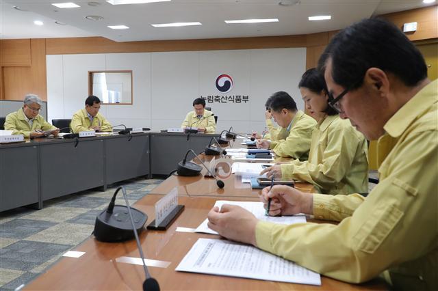 “아프리카 돼지열병 막기” 일요일도 반납