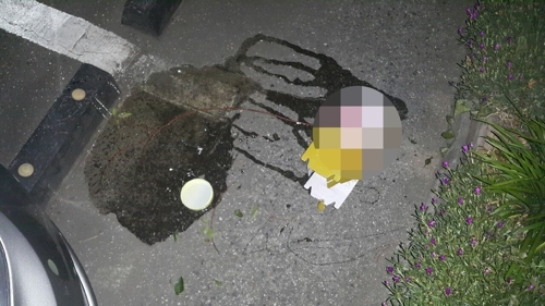 차량 파손한 꿀병
부산경찰청 제공