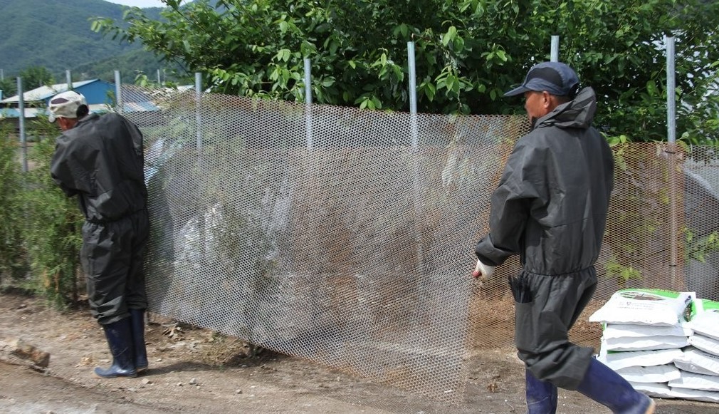Quarantine officials establish fences around hog farms in Cherwon, Gangwon Province, on June 8, 2019, to prevent the spread of African swine fever. (Yonhap)