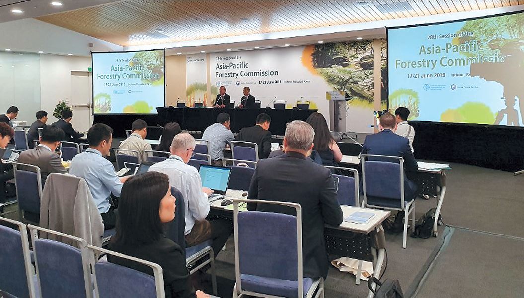 Participants attend Asia-Pacific Forestry Week 2019, which runs through Friday in Songdo, Incheon. (KFS)