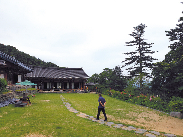 충남 아산 지역 천주교 신앙의 역사와 박해로 인해 순교한 이들의 아픔이 고스란히 담겨있는 곳이 공세리 성당이다. 많은 영화와 드라마의 촬영지로 각광을 받는 이곳은 커다란 수목 사이로 클래식하지만 기품있는 양식의 성당이 고고하면서도 담담한 모습으로 자리를 잡고 있다. 신자들에게는 성지와 같은 곳이고, 일반인에게도 마음의 평안과 휴식을 전해준다. 김성진 기자/withyj2@heraldcorp.com