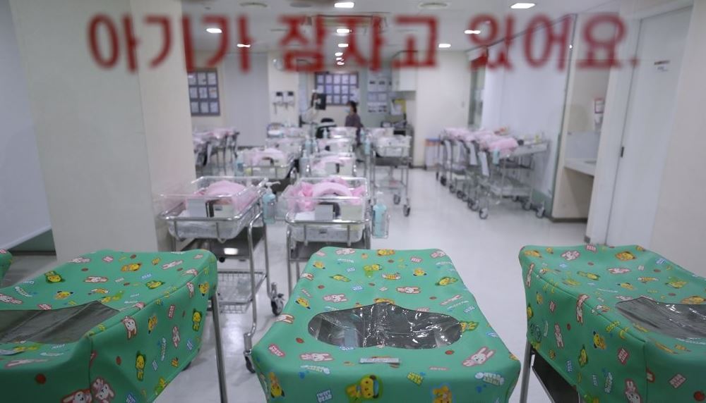 (연합뉴스)