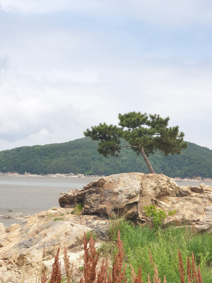 신도 시도 모도에는 넓은 개펄과 고즈넉한 섬 풍광이 여행객의 마음을 편안하게 해준다./김성진 기자