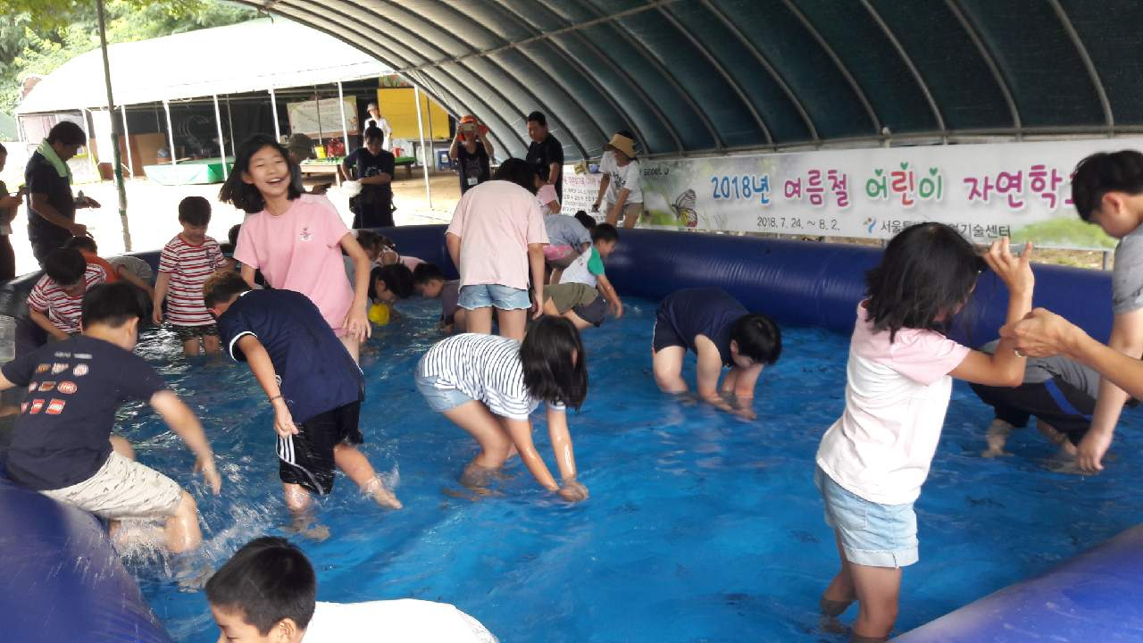 지난해 열린 여름철 어린이자연학교에서 진행한 '미꾸라지 잡기' 체험 모습. [서울시 제공]
