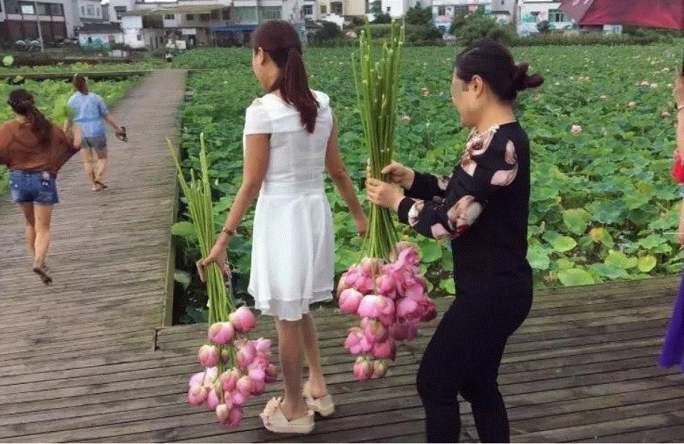 [레드스타뉴스 갈무리]